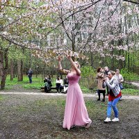 Розовое в розовом,,, :: Анатолий Колосов