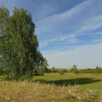 Погожий майский день в преддверье лета. :: nadyasilyuk Вознюк