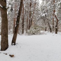 Зимний пейзаж в апреле :: Александр Синдерёв