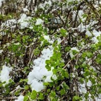 Апрель :: Михаил Столяров