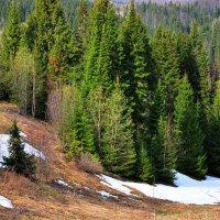 весенний вид :: леонид логинов