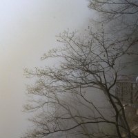 На вершине горы :: Георгий А
