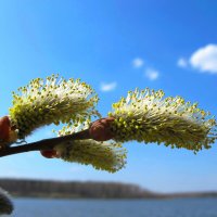 ... :: Станислав ..