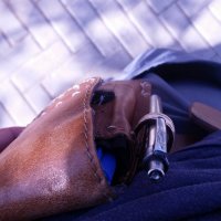 116 (31) :: СТРЕН 