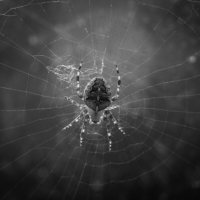 В ожидании :: Игорь 