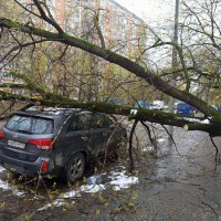 И нас не обошла сия чаша. Но здесь еще и повезло :: Андрей Лукьянов