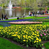 Королевство цветов(серия) :: Владимир Манкер