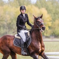 Конкур :: SanSan 