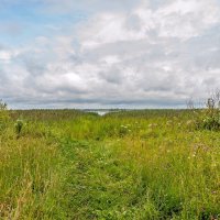 Синоптики обещают малоснежное лето :: Валерий Иванович