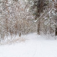Пейзаж в апрельский снегопад :: Александр Синдерёв