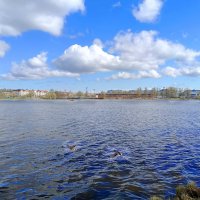 Плывут по небу облака... :: Мария Васильева