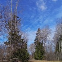 Апрельское .. :: Татьян@ Ивановна