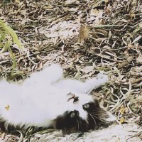 14  КЛОС (151) :: CLOSE WAYS ALL