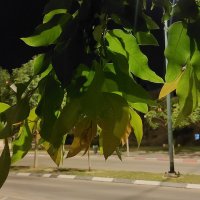 14  КЛОС (175) :: CLOSE WAYS ALL