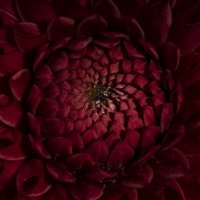 50 оттенков :: Игорь 