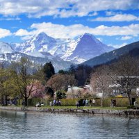 Швейцария Отдых на озере Тун, замок Шадау. /Switzerland  Urlaub Thunersee Schloss Schadau/... :: "The Natural World" Александер