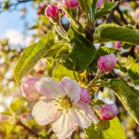 Утро :: Валерий Ткаченко