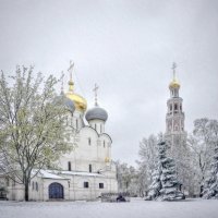 Новодевичий монастырь :: Andrey Lomakin