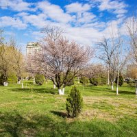 Облачно :: Анатолий Чикчирный