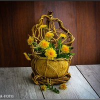 АПРЕЛЬСКИЕ ОДУВАНЧИКИ. :: Александр Дмитриев