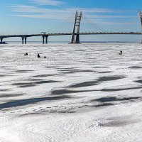 Энтузиасты подлёдного лова :: Eugene *