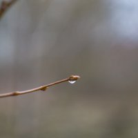 ___ :: Yuriy V