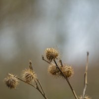 ___ :: Yuriy V
