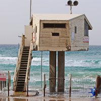 Репортаж 2026 :: Владислав Воровский 