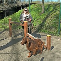 Разрешите сфотографировать :: Юрий Велицкий
