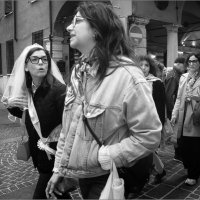 . :: Daniela Dluhošová