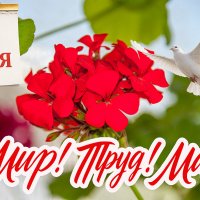 С Первомаем, друзья! :: Валерий Иванович
