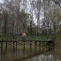 Мостик через речку Петрицу. :: Люба 