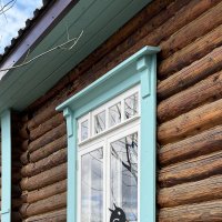Заборная певчая!) :: Любовь 
