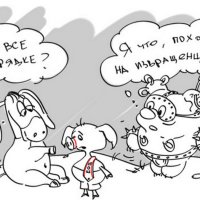 17 :: Владимир Попов