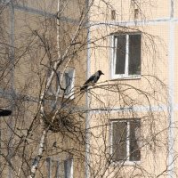 ЖДЁТ :: Виктор Никитенко