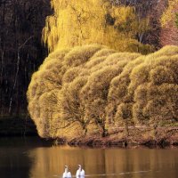 Царицыно 2 мая :: Михаил Бибичков