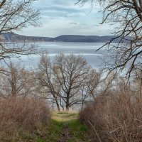 * :: Александр Лисовский