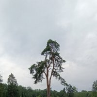 на территории  усадьбы :: Галина R...