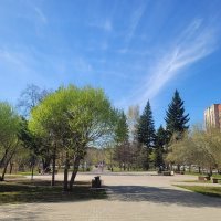 В Новосибирск пришла весна! :: Галина Нестратова В Новосибирск пришла весна! :: Галина Нестратова