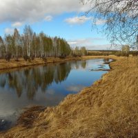 В природе-весна ! :: nadyasilyuk Вознюк В природе-весна ! :: nadyasilyuk Вознюк