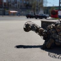 Черепаха :: Радмир Арсеньев