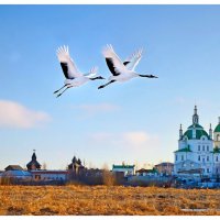 Это время называется весна! :: Михаил К