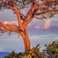 "Хорошо поработал - культурно отдохни ! "(С) :: Валерий Кокорев
