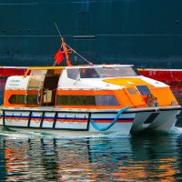 Tender boat :: Сергей Сомихин