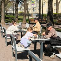 А вот и шахматисты-подснежники. :: Лютый Дровосек