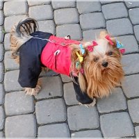 Маленькая модница :: Лия ☼