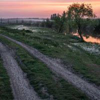 Одуванчиковый закат :: Ирина