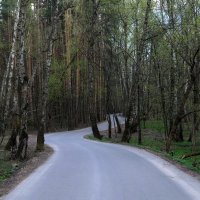 А дорога серою лентою вьётся... :: Люба 