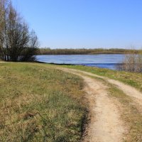 Дорожка к Оке :: Евгений Корьевщиков