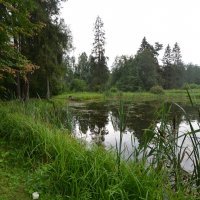 усадьба Знаменское :: Галина R...